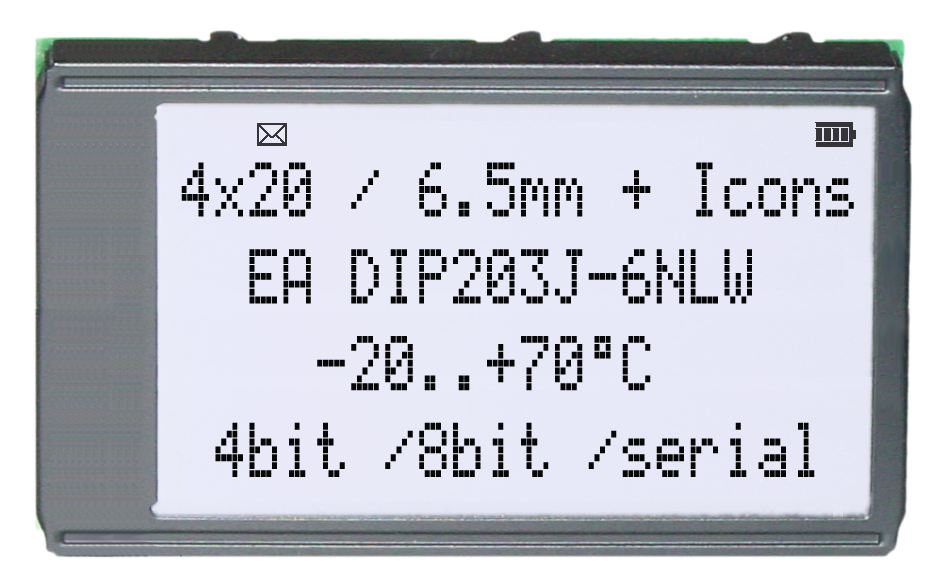 4x20 DIP Character Display EA DIP203J-6NLW