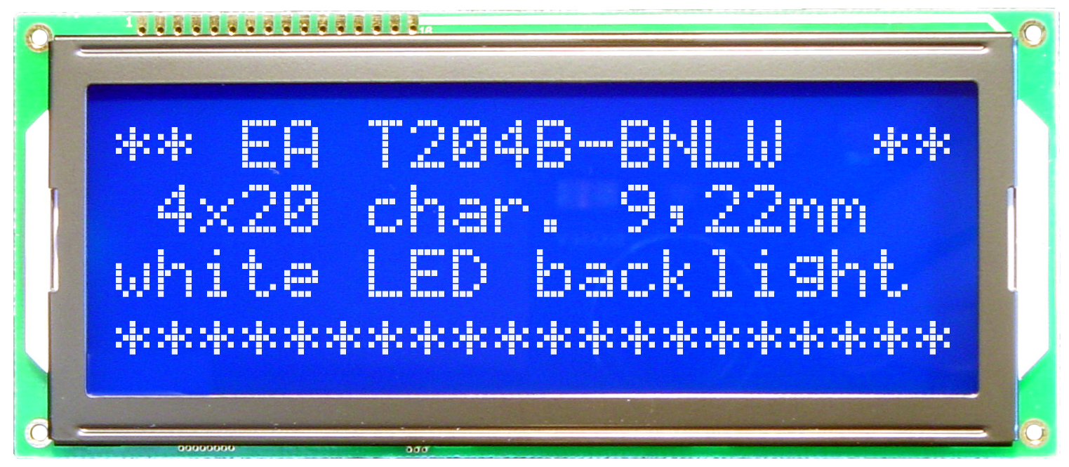 4x20 Character Display EA T204B-BNLW