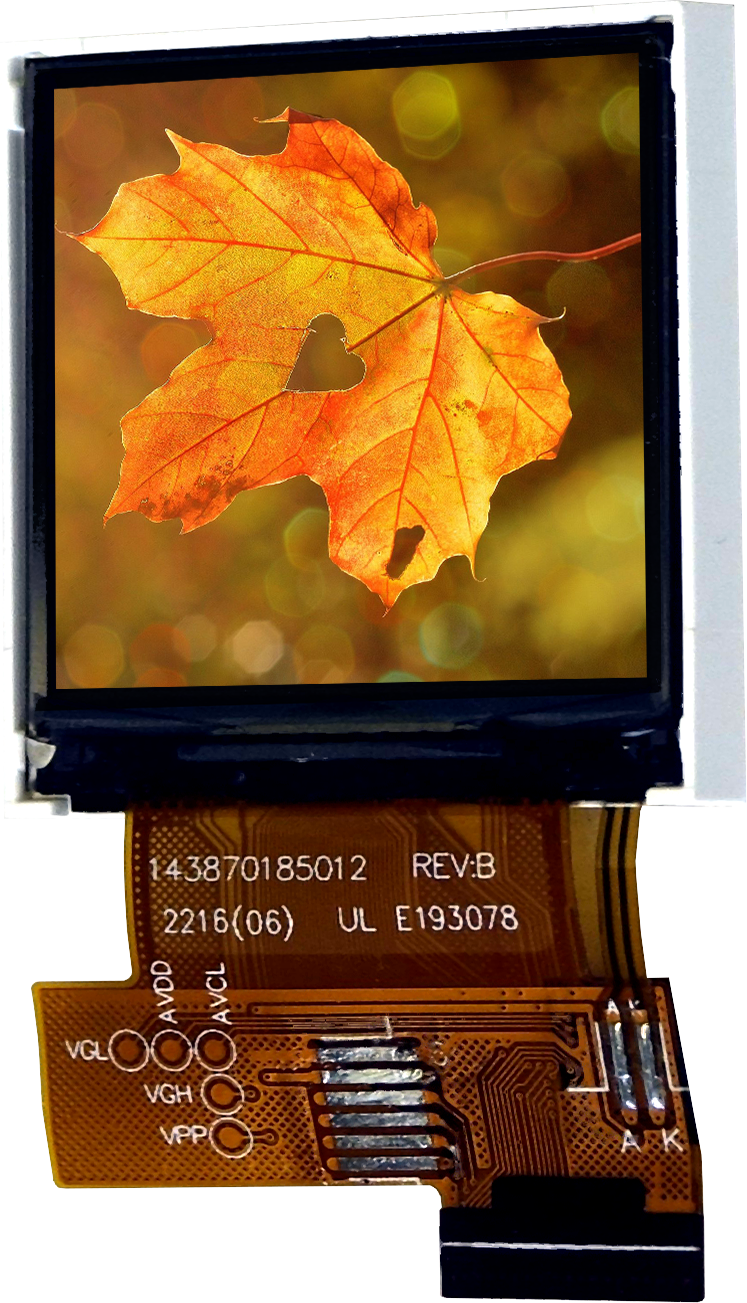1.5" 240x240 EA TFT015-22AINN TFT-IPS Graphic Display