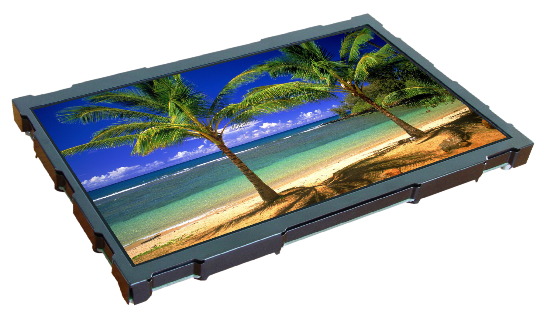 10.1" EA uniTFT101-A IPS multifunctional Graphic Display